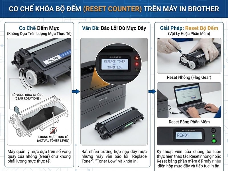 Giải thích cơ chế khóa bộ đếm (Reset Counter) trên máy in Brother và giải pháp reset nhông để khắc phục lỗi báo đèn ảo.